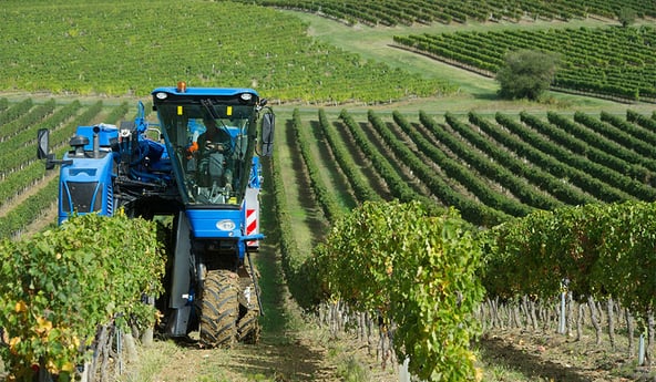 Überzeilen-Traktor für Weinstöcke